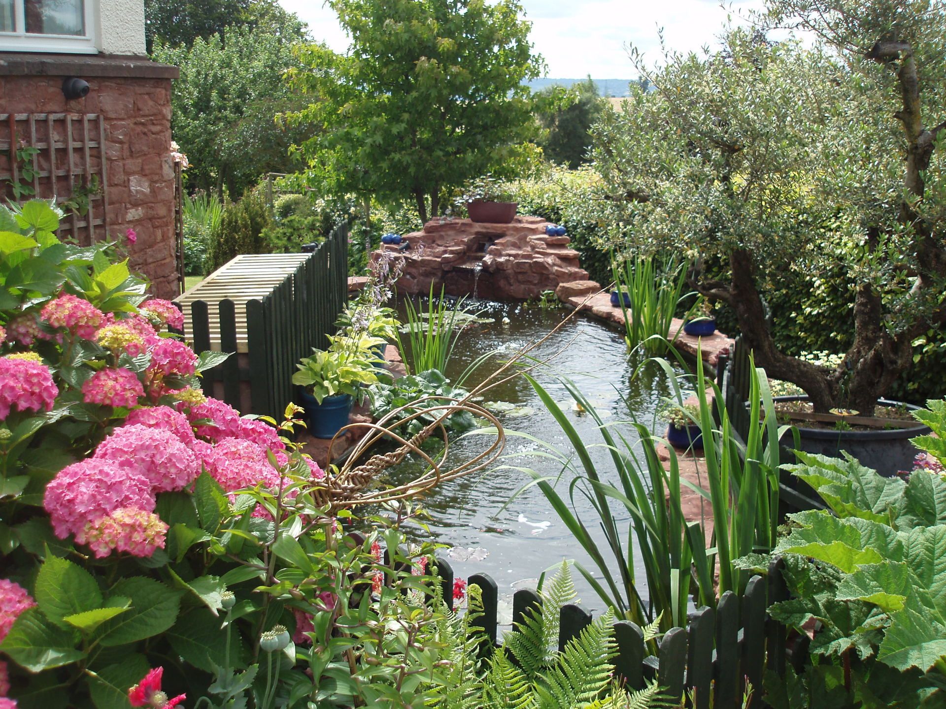 garden pond with flowers