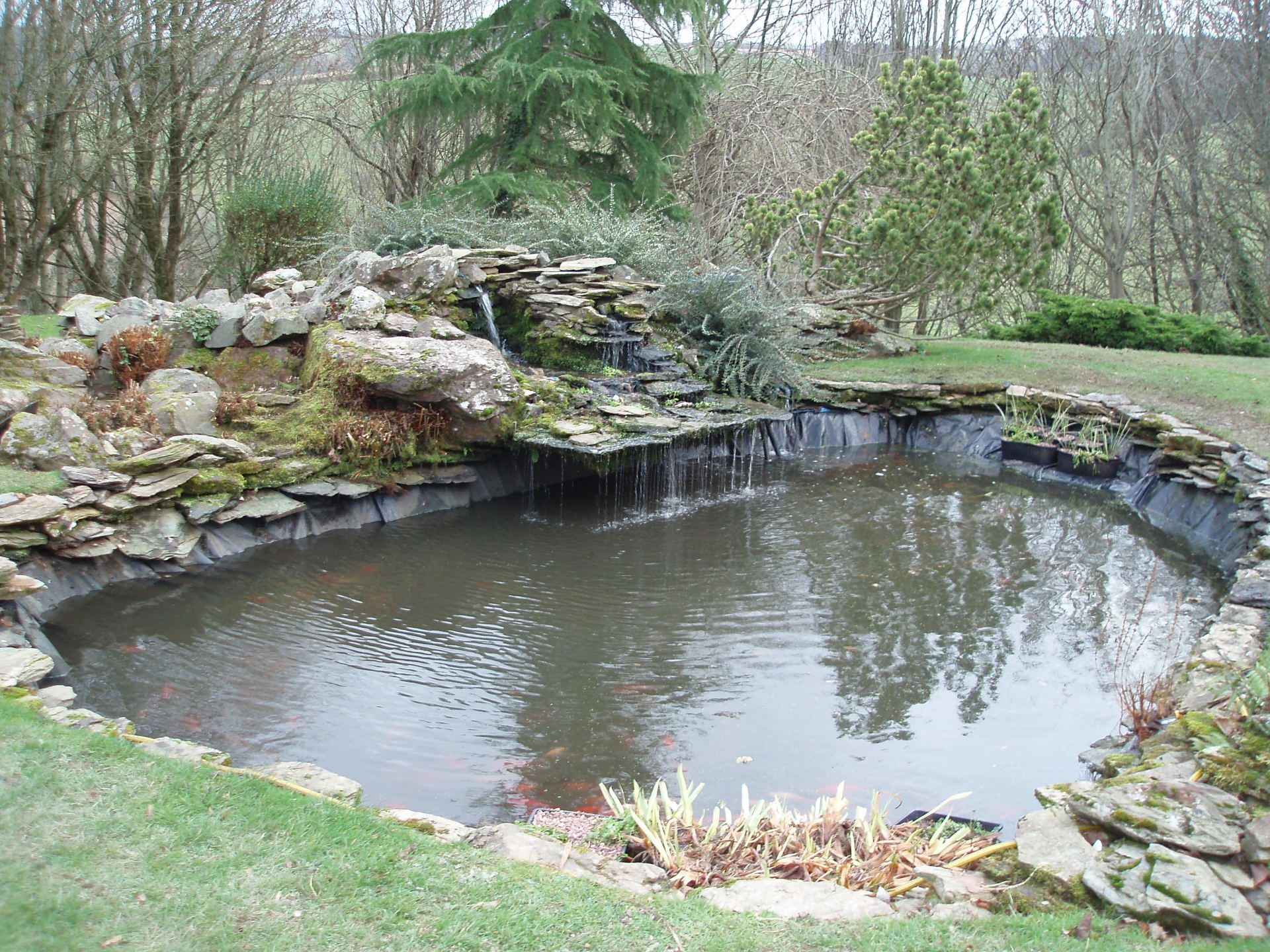 pond with rocks