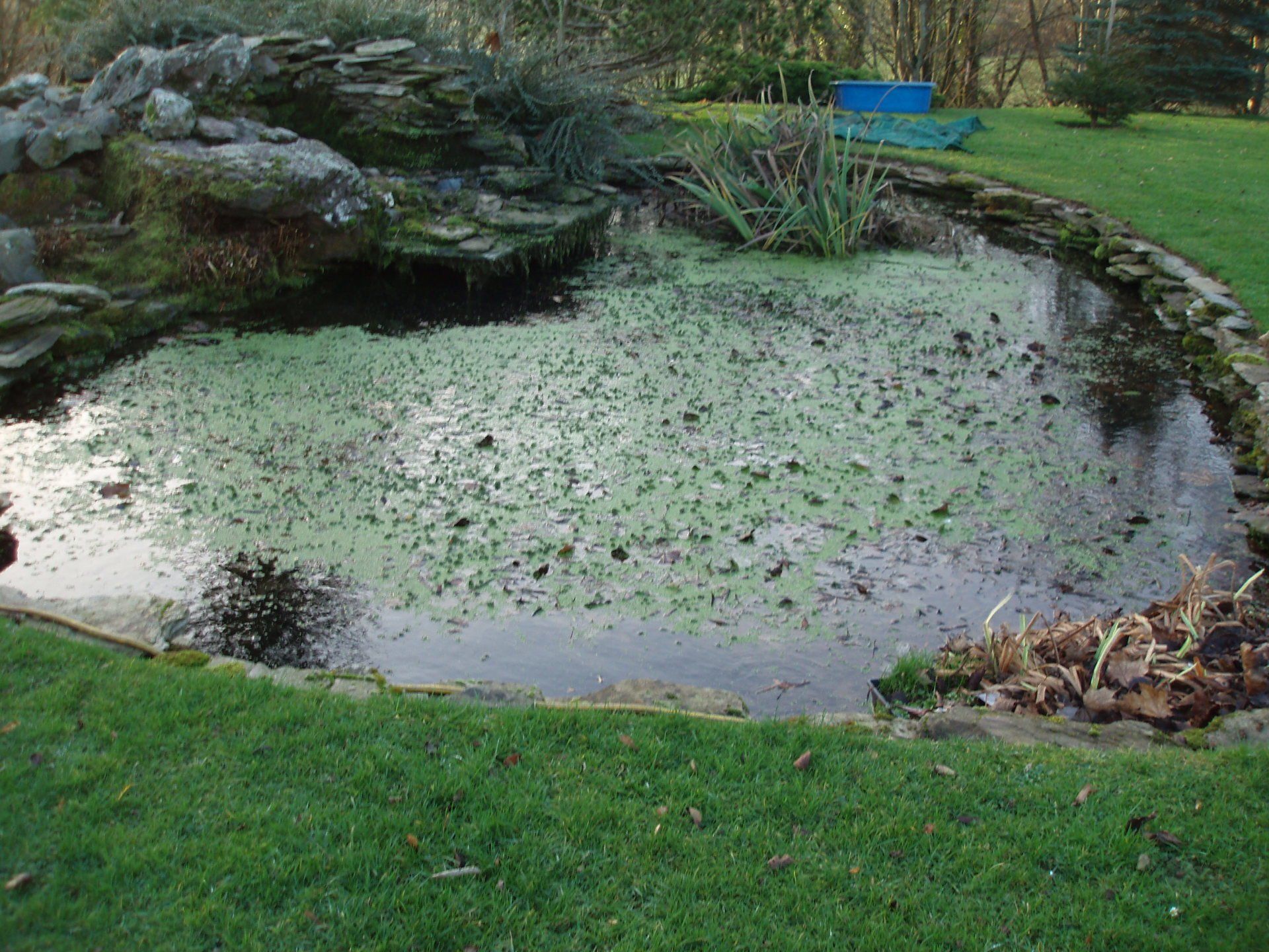 pond with rock pool