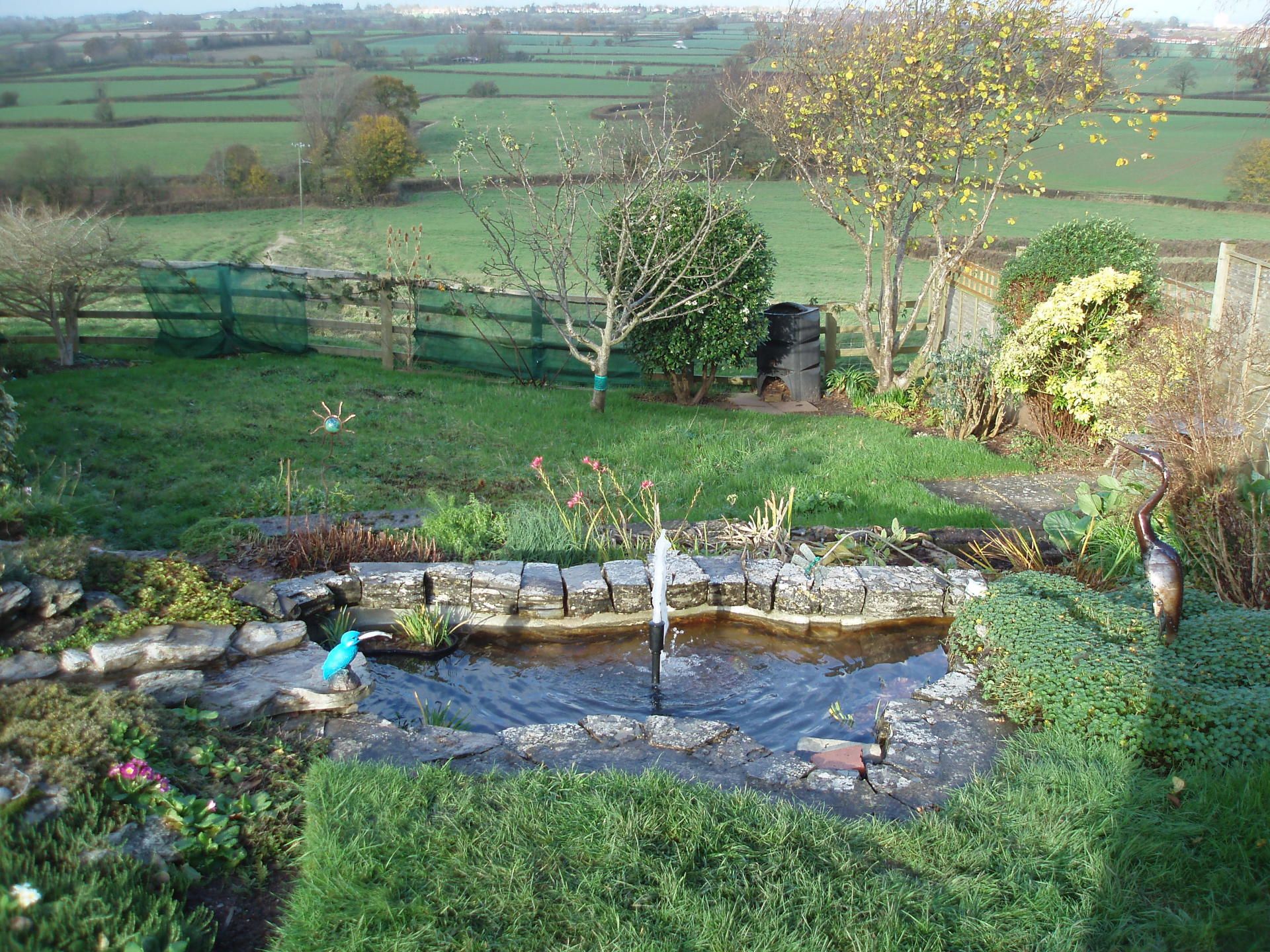 pond in large garden
