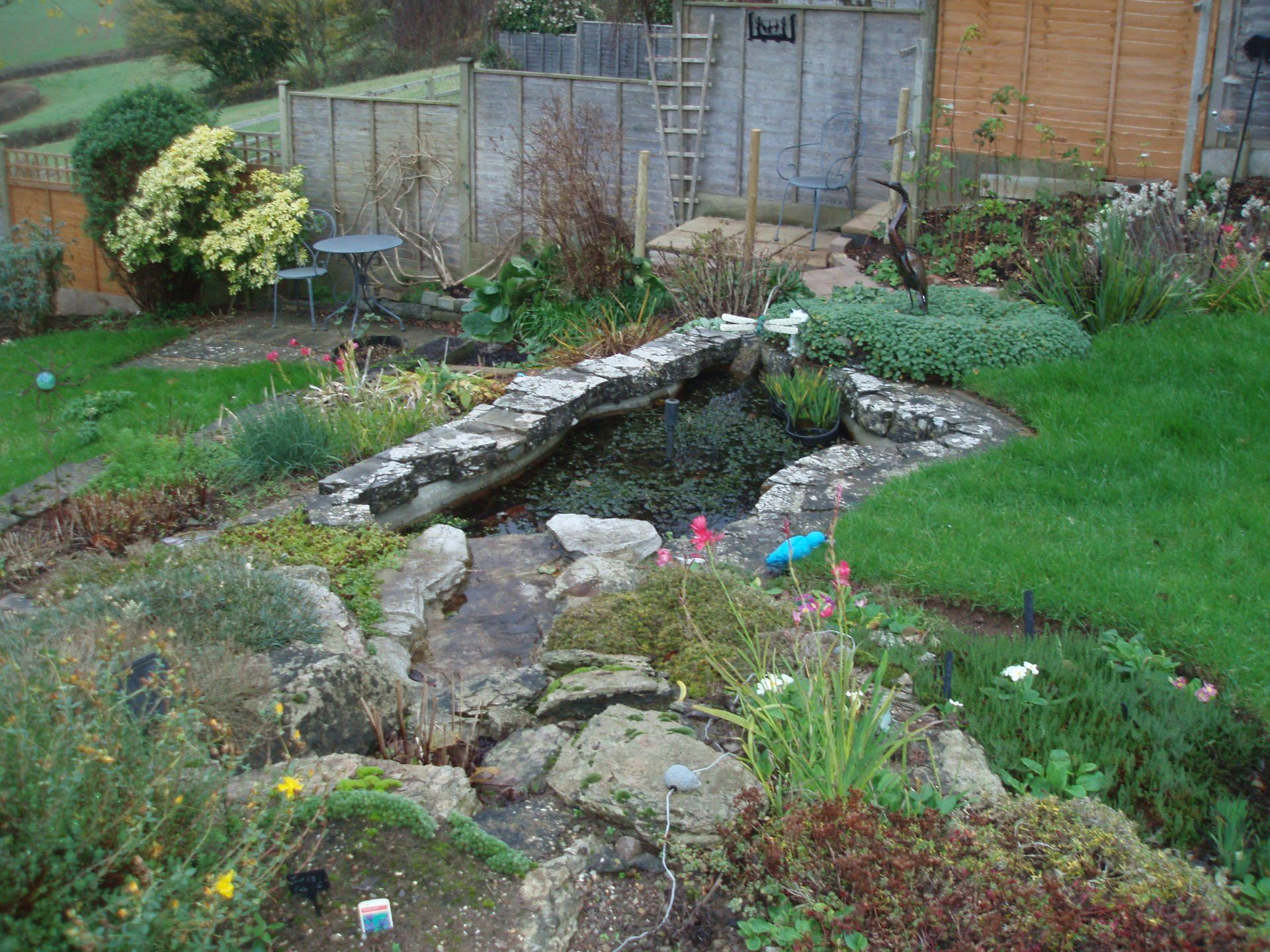 pond and landscaping