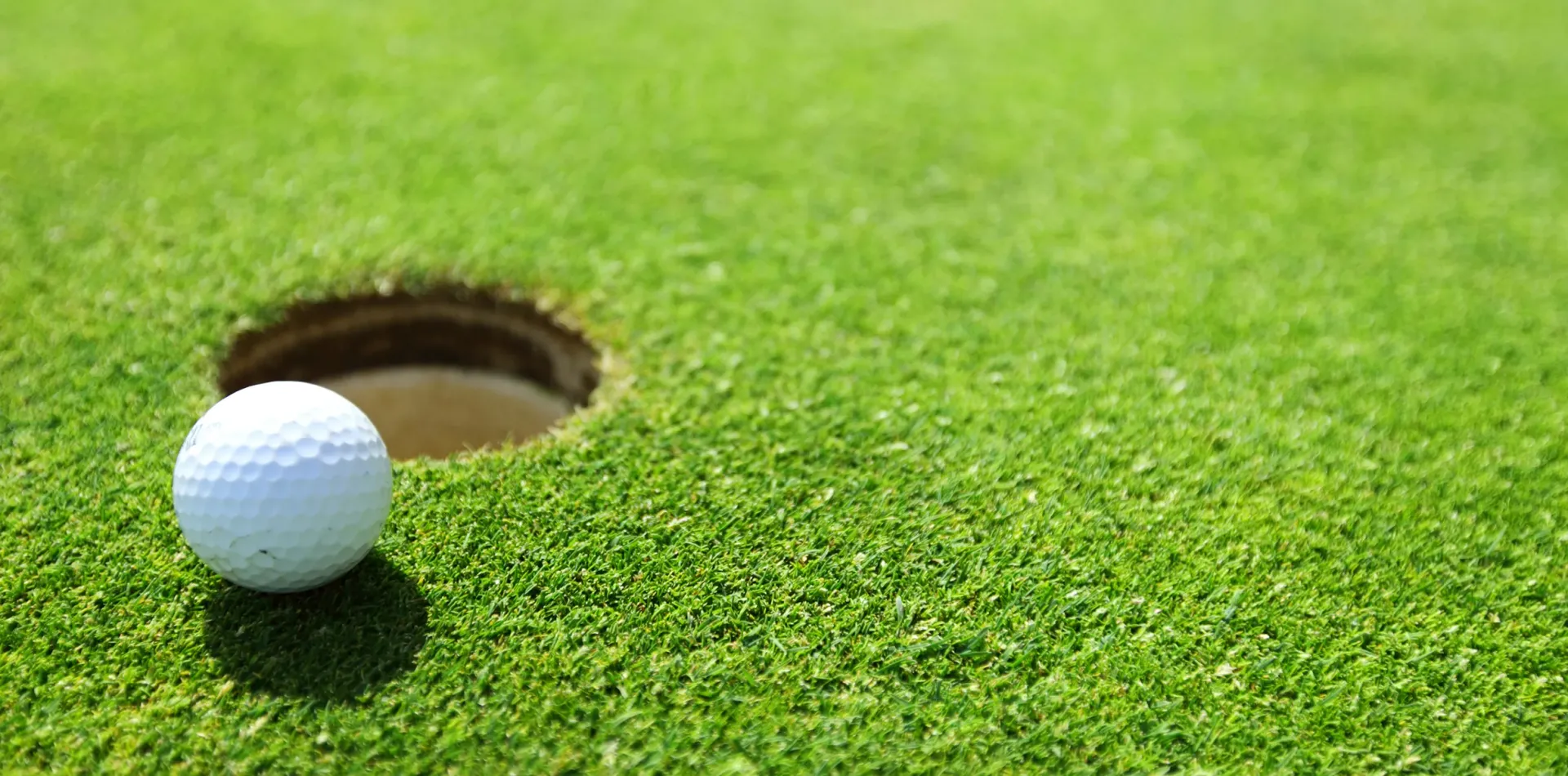 A golf ball is sitting in a hole on a golf course.