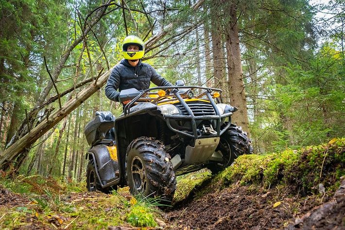 A man is riding an atv through the woods.