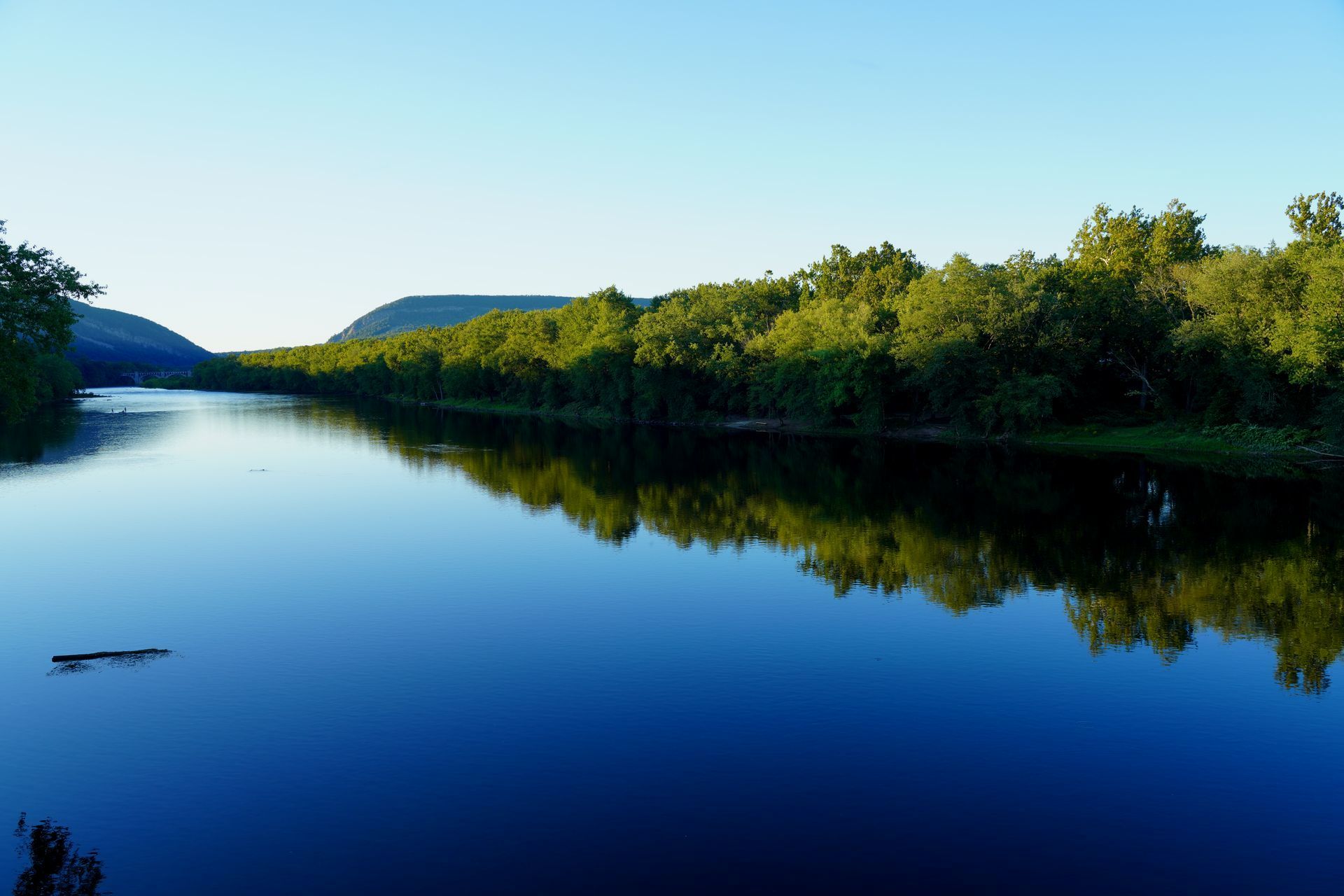 A large body of water surrounded by trees on a sunny day.