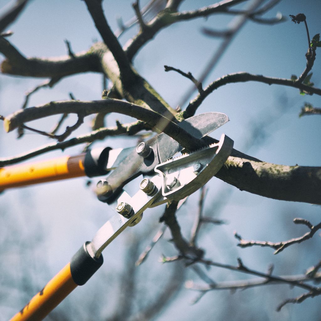 Lawn Care Utah County