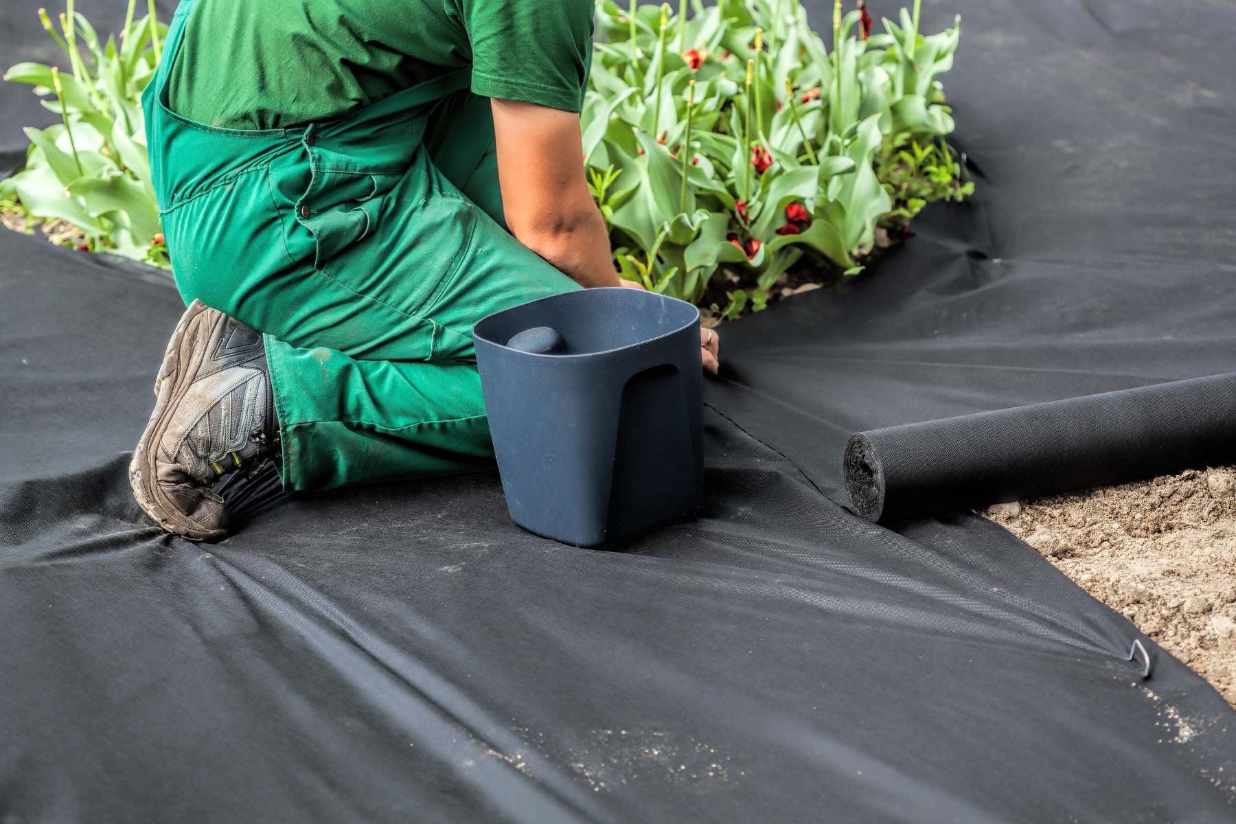 landscape design utah