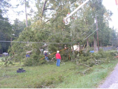 Employees removing trees off wires