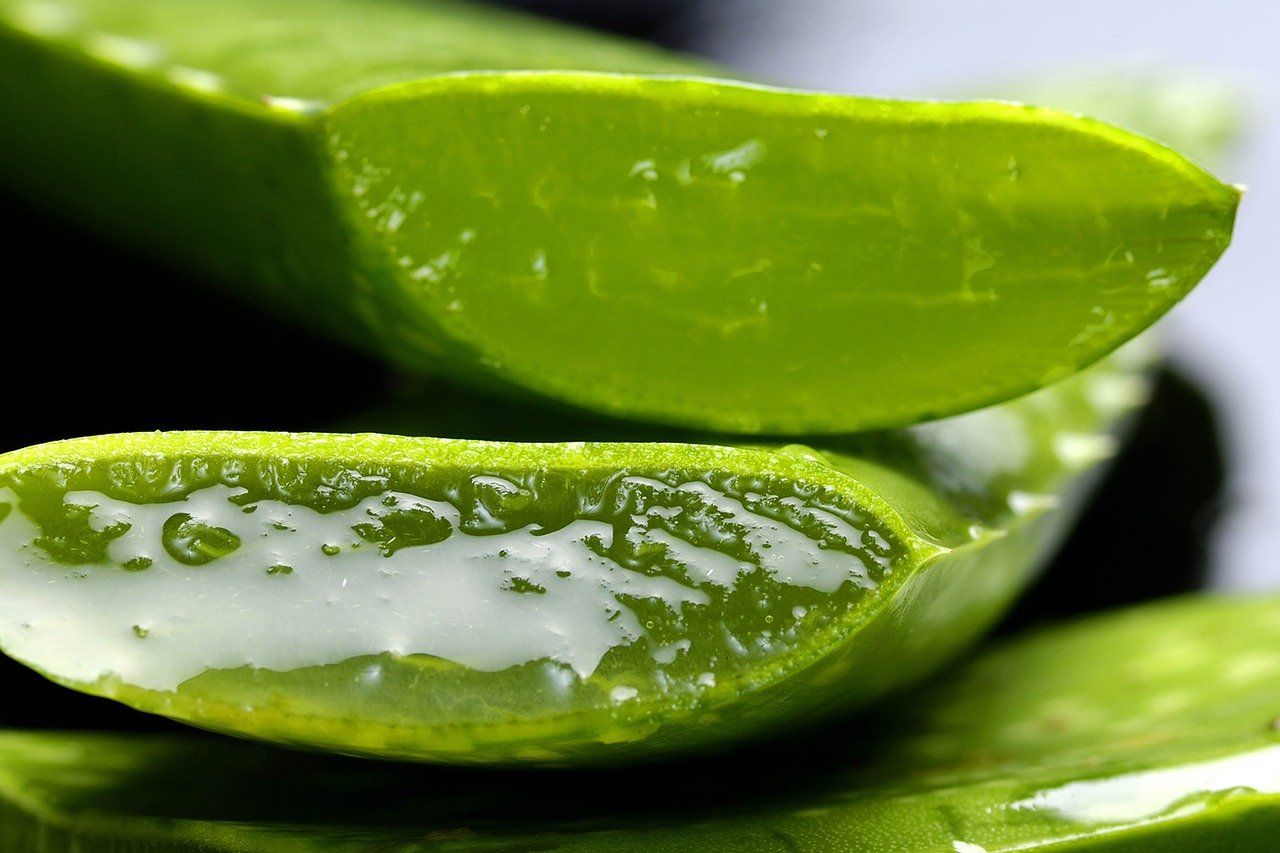 A close up of a slice of aloe vera with a white liquid inside of it.