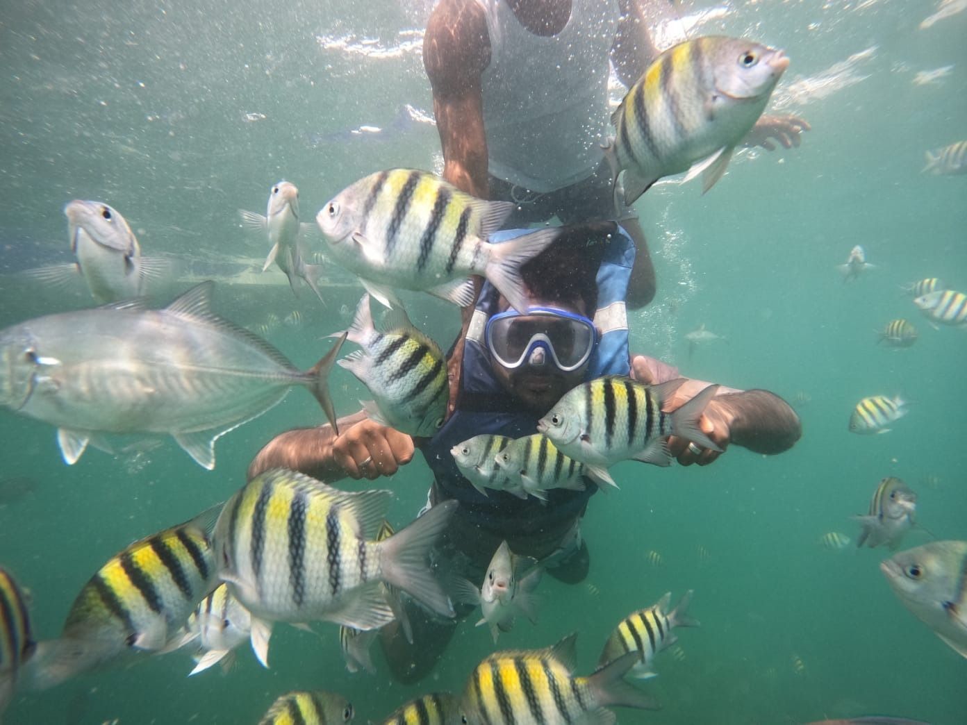 Anuncio de viajes de Shekin: 5 destinos terrestres. Barcos, aguas turquesas, paisaje de playa y número de teléfono.