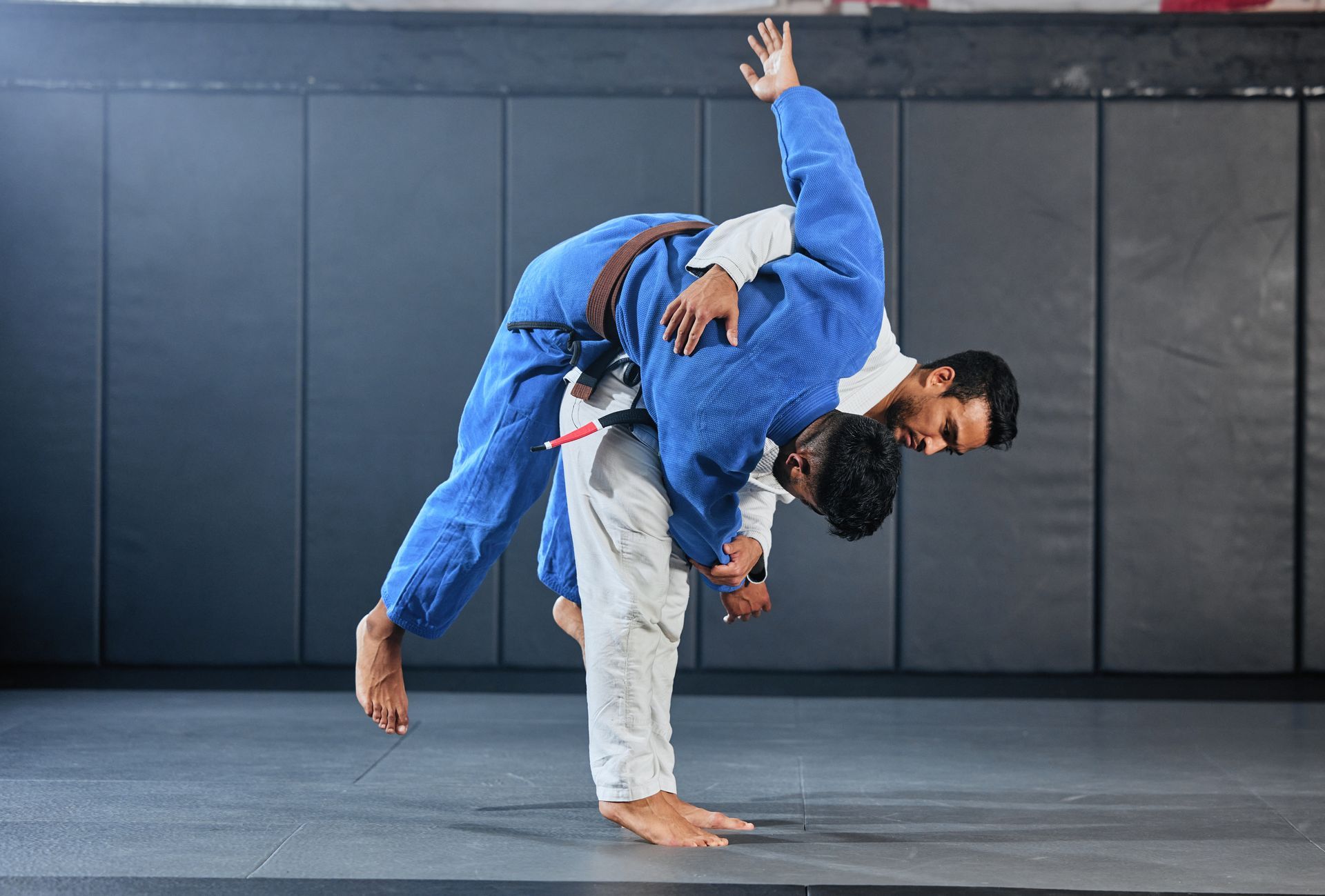 adult bjj