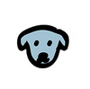 Dog Care