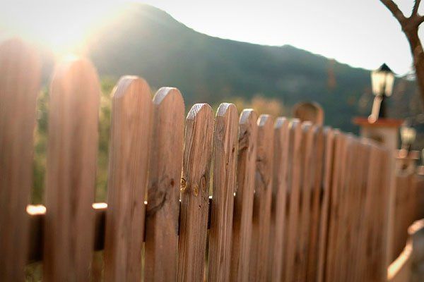 fence