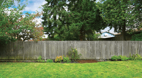 A double thick garden fence