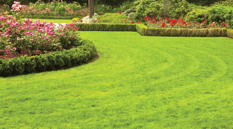 A big lawn with flower beds
