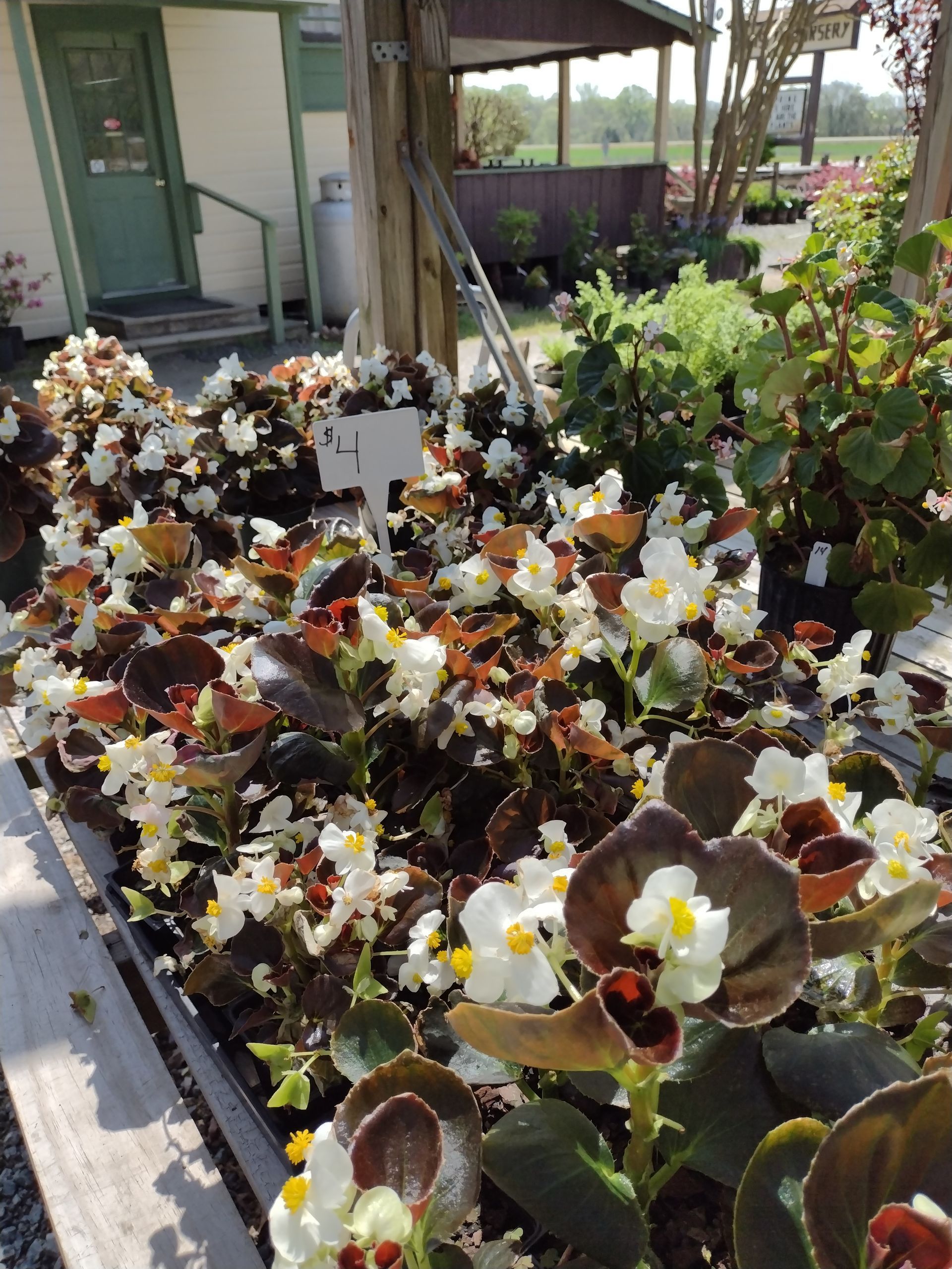 Garden & Landscape Concord, NC Christy’s Nursery