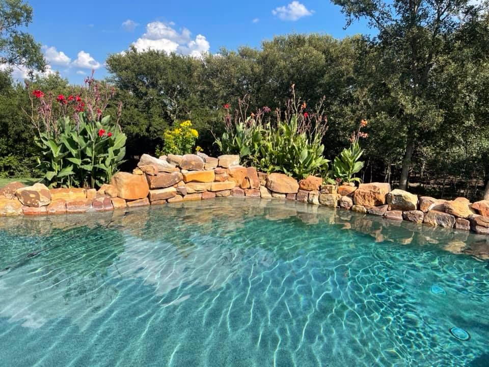 Pool with stone edge and colorful plants, set against a green tree backdrop on a sunny day.