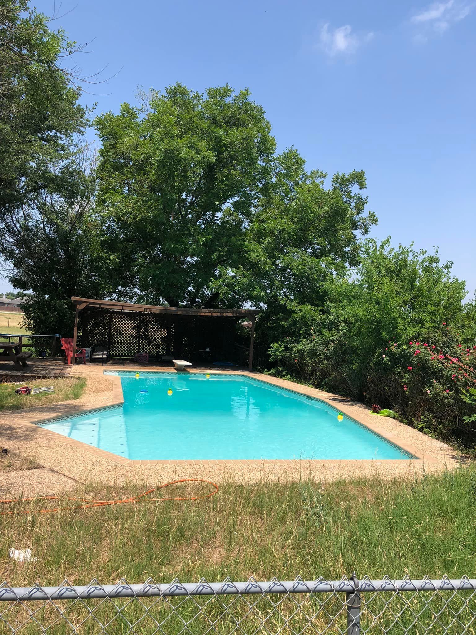 A rectangular swimming pool with bright blue water sits in a grassy yard, shaded by a large tree and a covered patio.