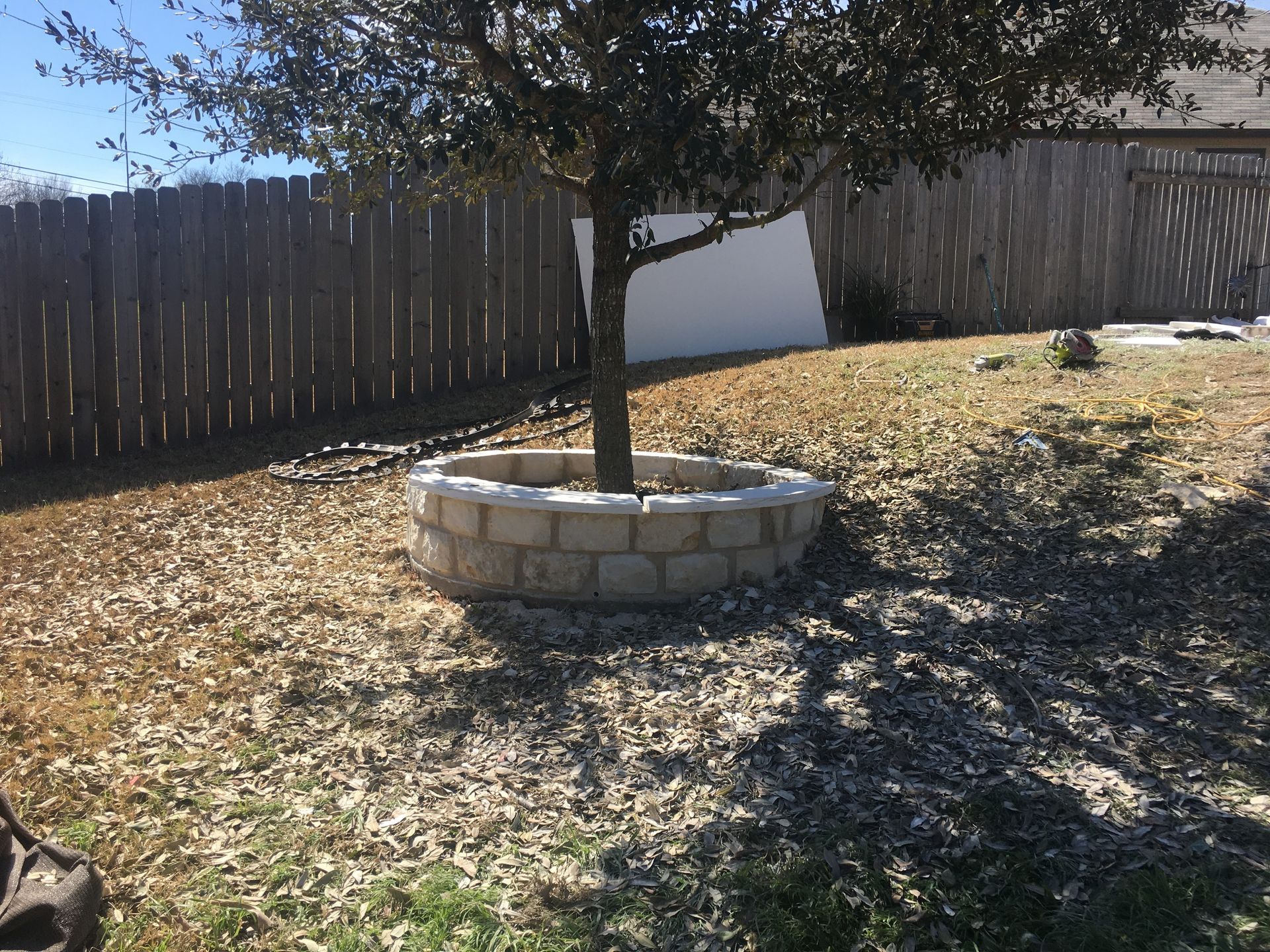 Tree in a circular stone planter in a yard with a wooden fence in the background.