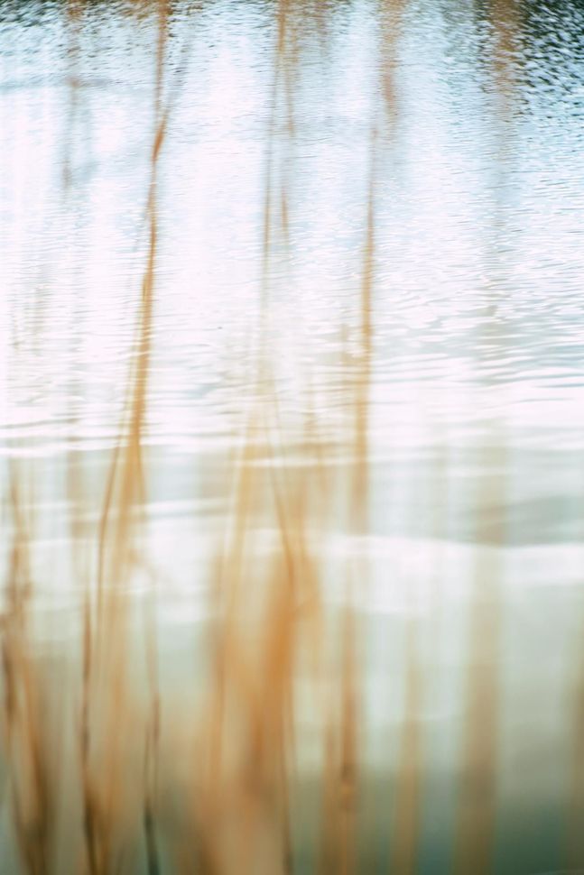 Close Up Shor of Lake