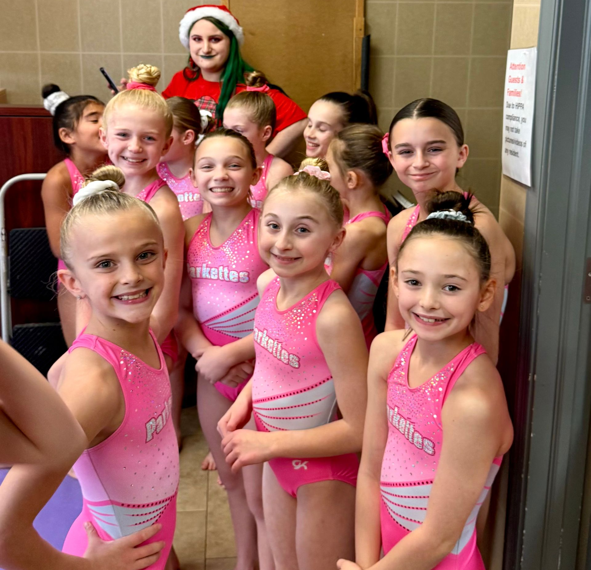 Young gymnasts in pink leotards smile, posing together; one wears a Santa hat.
