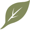 Olive-green leaf icon with a white vein on a white background