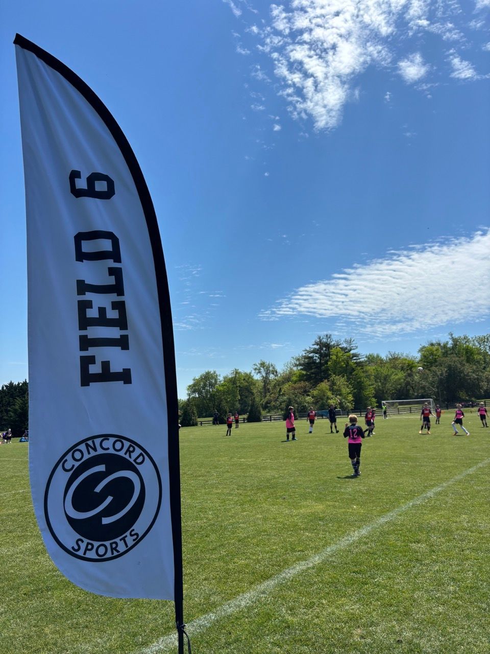 Baseball player sliding into base as another player attempts to catch the ball.