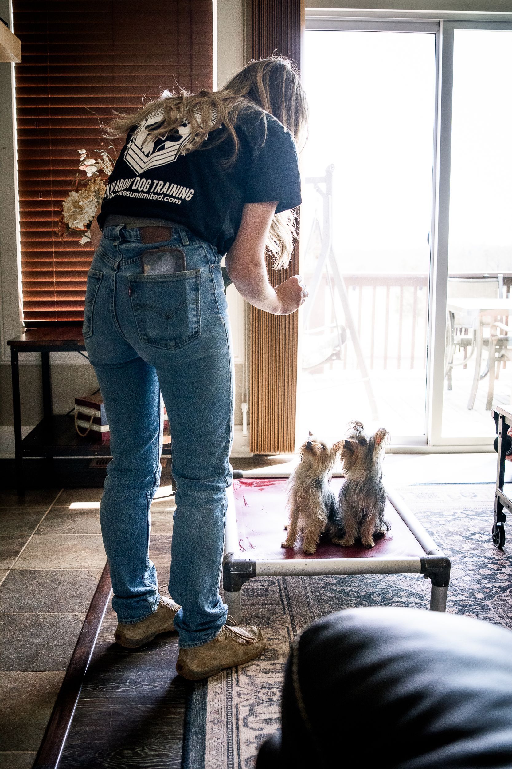 A person stands in a living room, holding a treat for two small dogs sitting on a raised pet cot near a patio door.