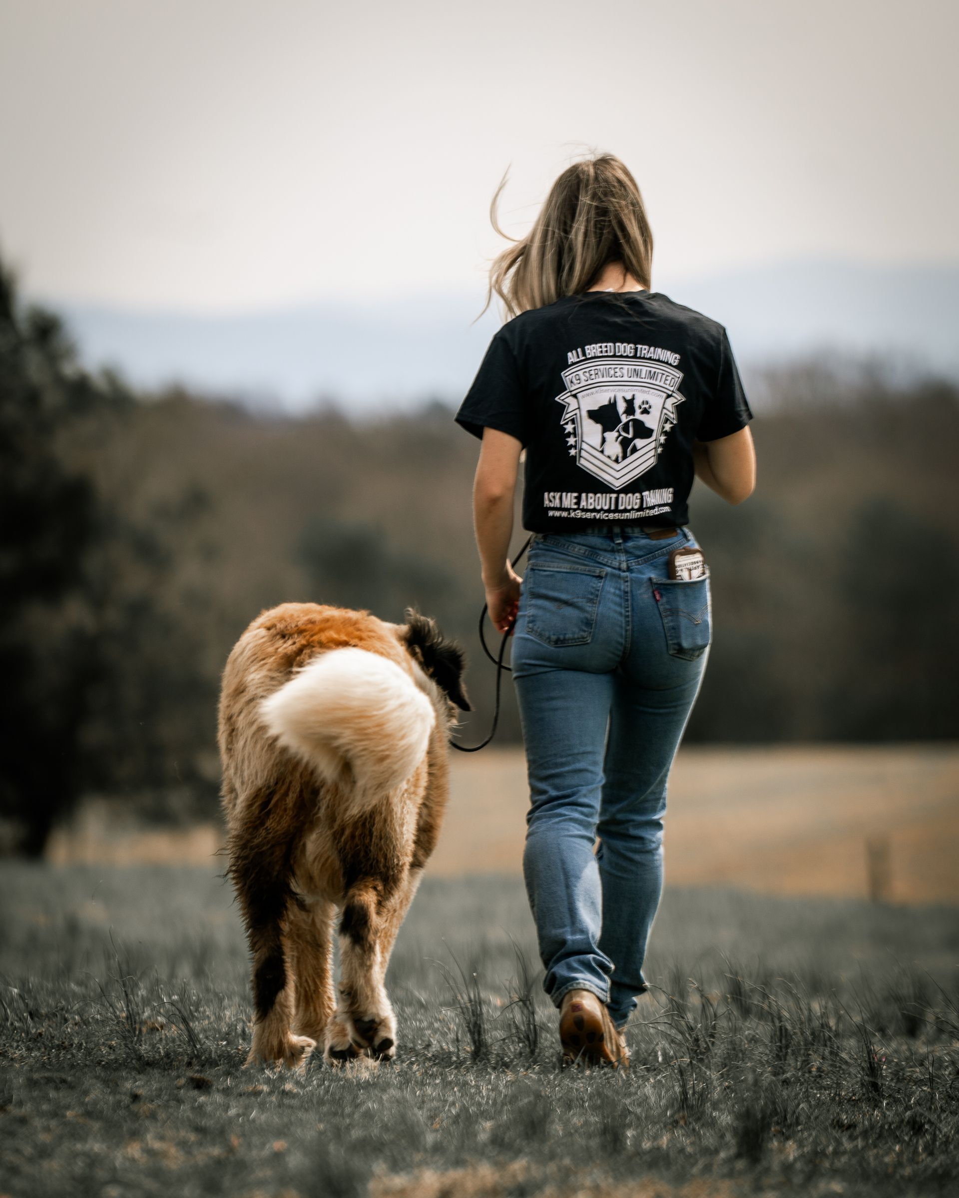 A person in a black t-shirt and blue jeans walks through a field with a large, fluffy, golden-brown dog.