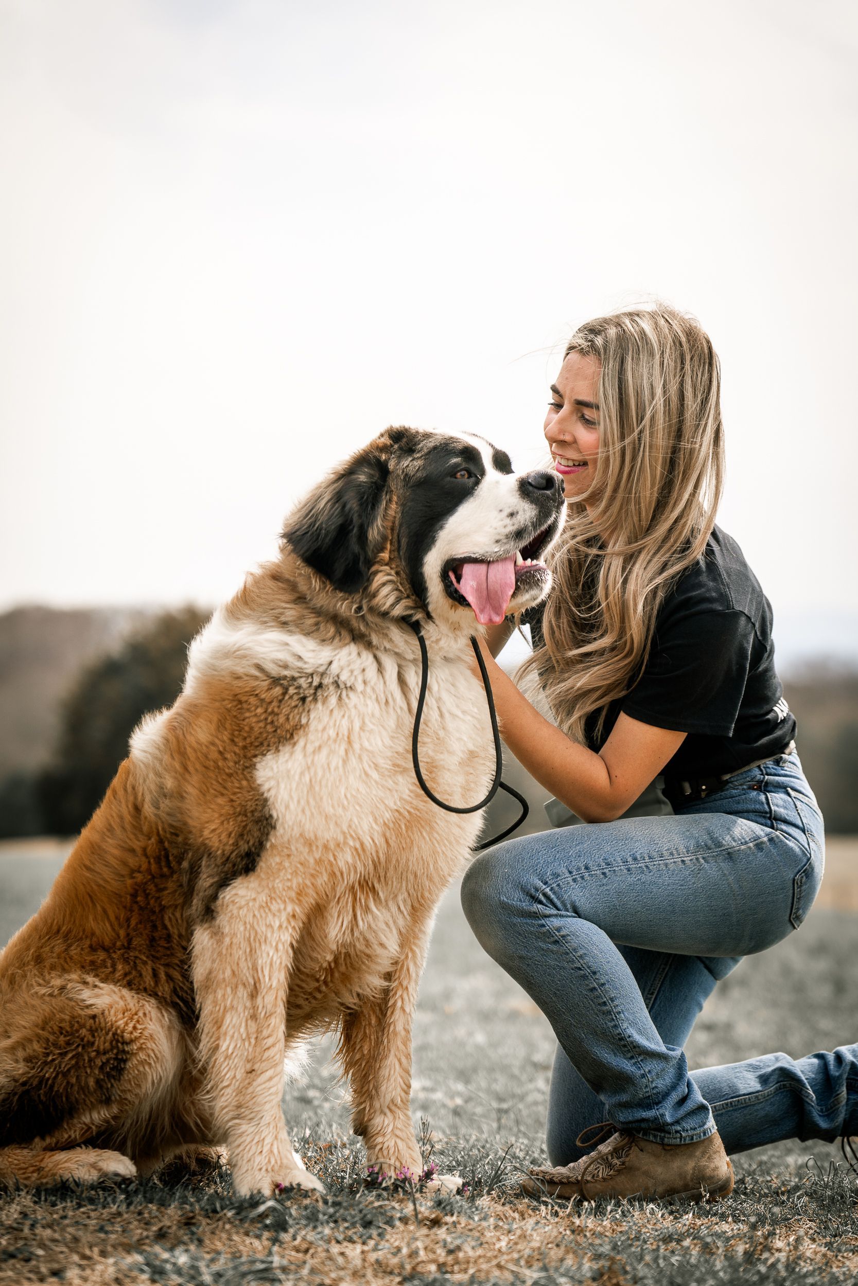 A person kneels in an outdoor setting, smiling and petting a large, brown and white Saint Bernard dog with its tongue out.