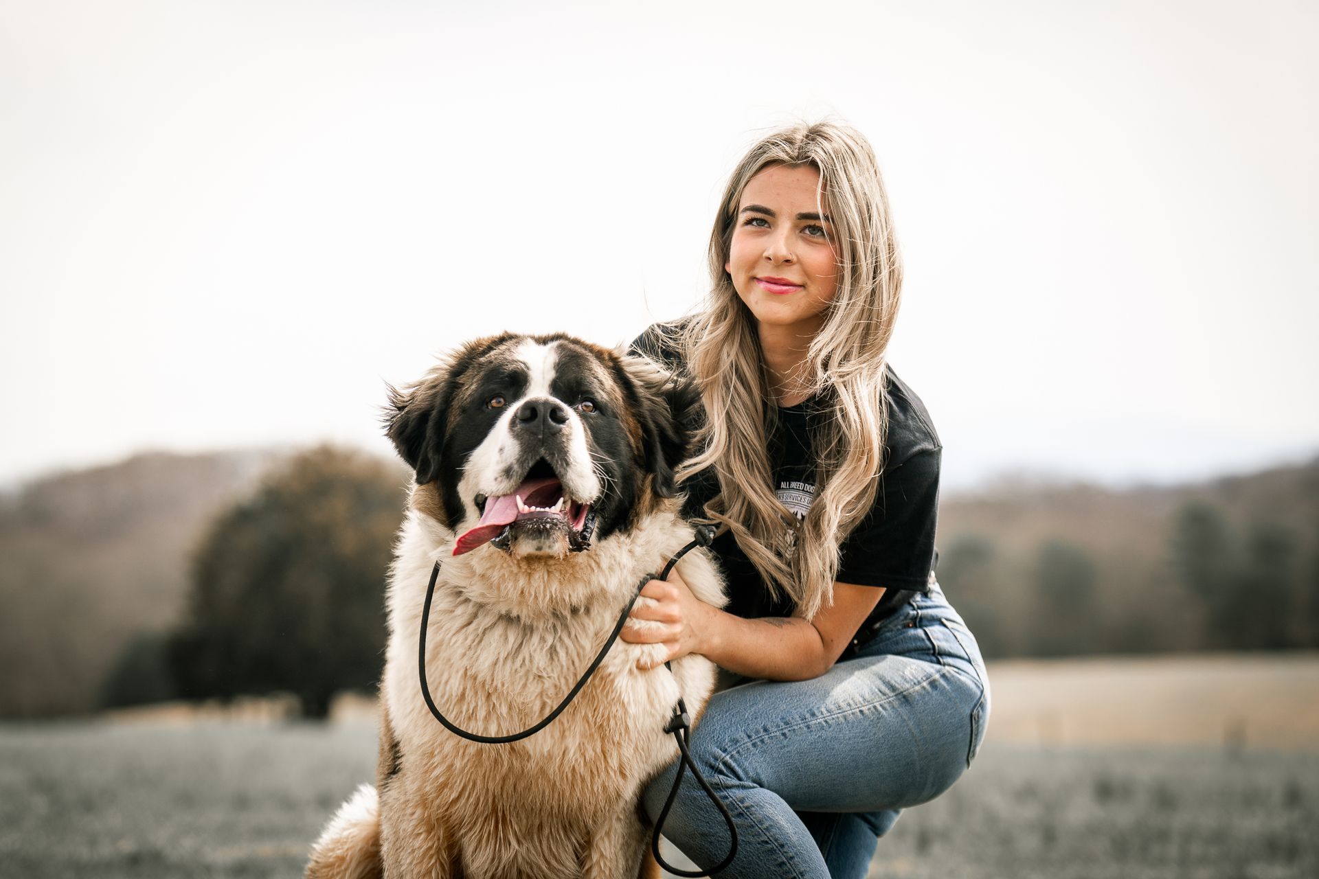 A young person kneeling in a grassy field, smiling while holding the leash of a large Saint Bernard dog with its tongue out.
