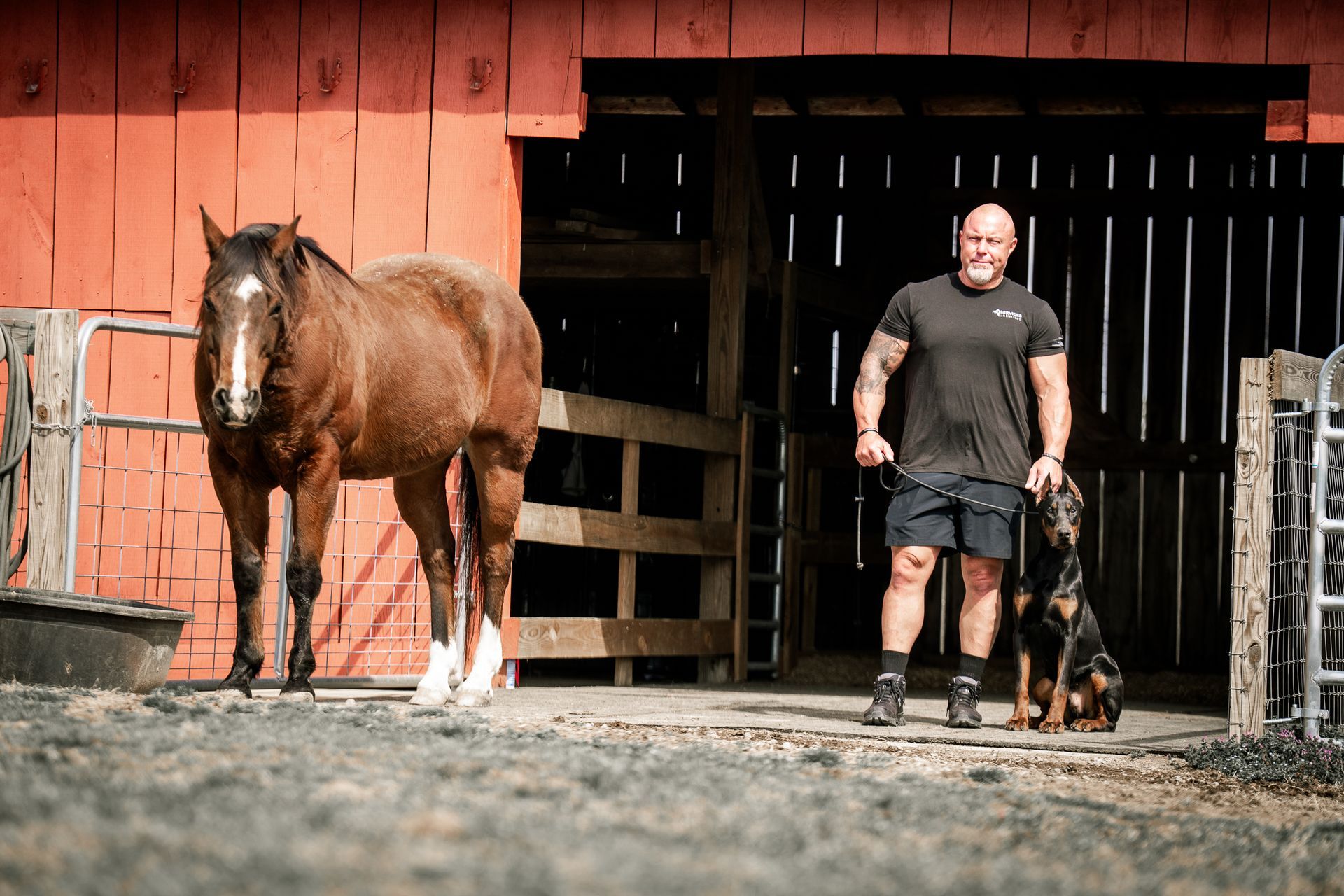 A muscular person standing in a red barn doorway with a horse and a dog.