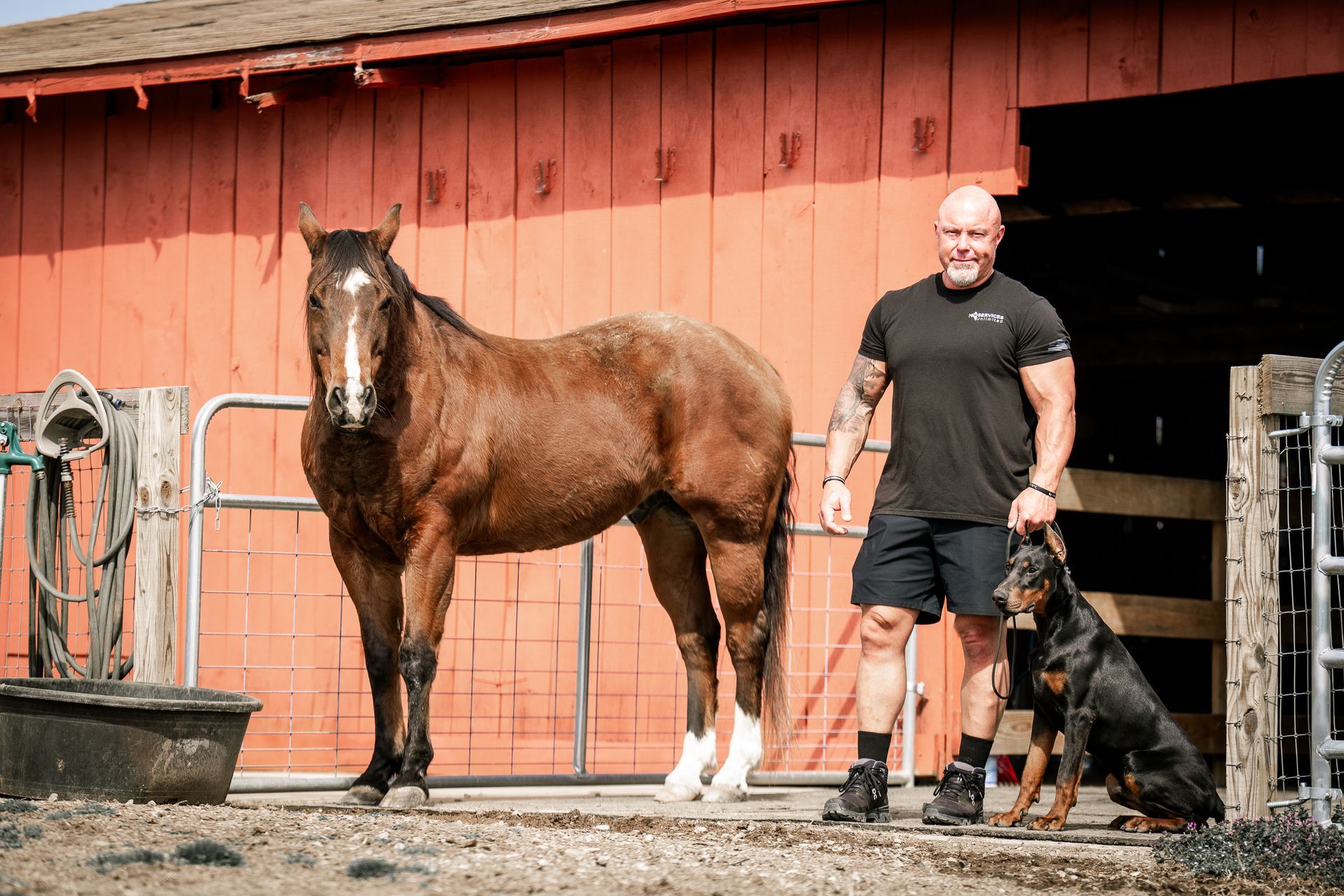 A person stands next to a brown horse and a Doberman outside a red barn.