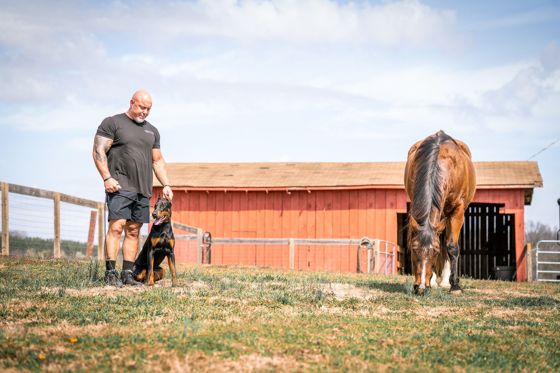 A muscular person stands with a Doberman in a field next to a grazing horse, with a red barn in the background.