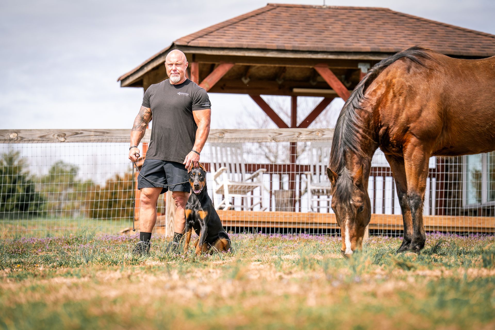A muscular person stands with a Doberman in a grassy field next to a grazing horse, with a gazebo in the background.