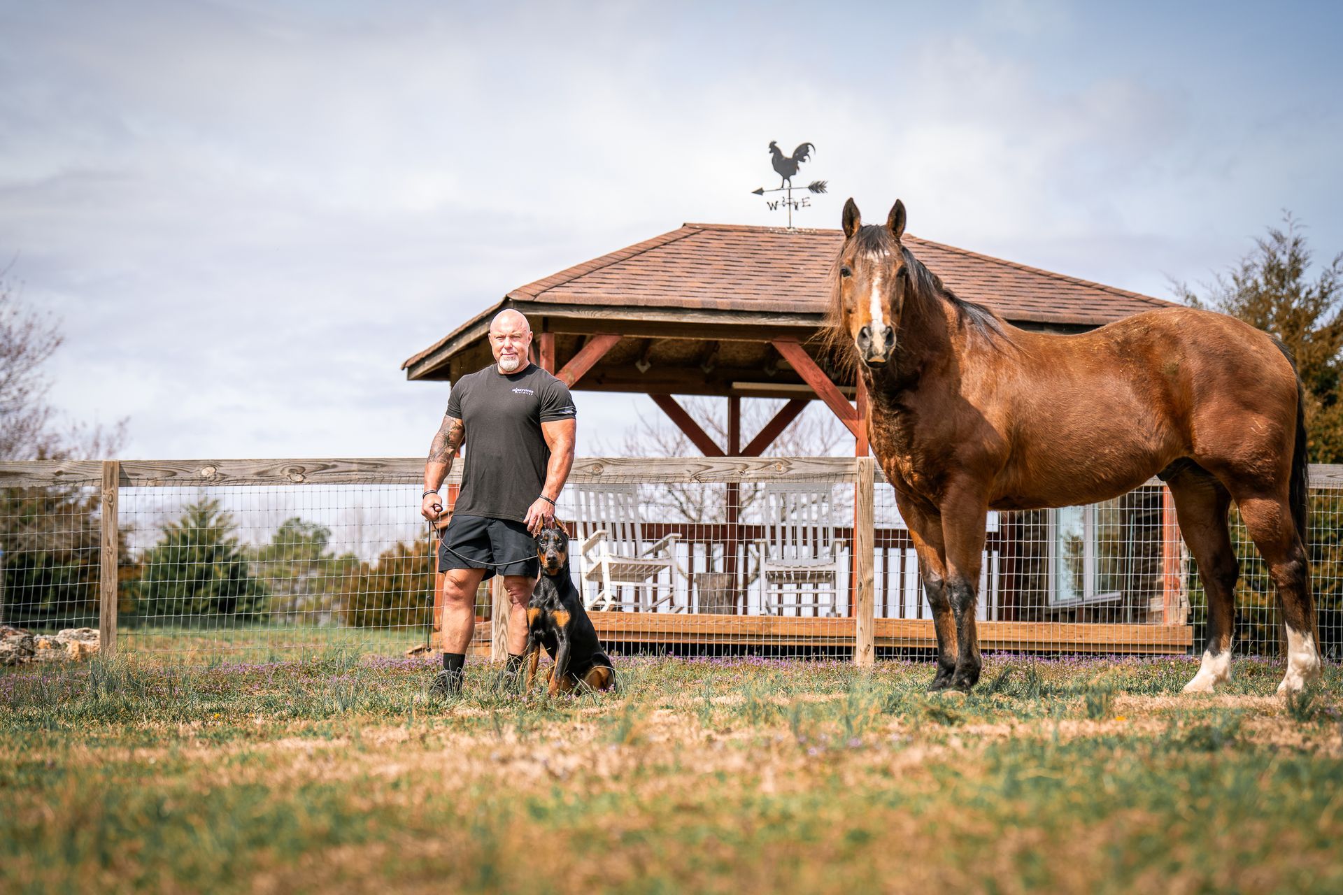 A person stands in a grassy field with a dog and a brown horse in front of a wooden gazebo on a sunny day.