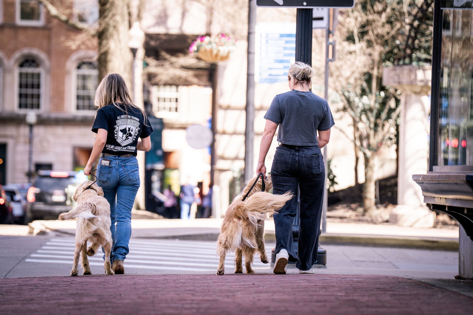 Two people walk away from the camera on a city sidewalk, each holding a leash attached to a golden retriever.
