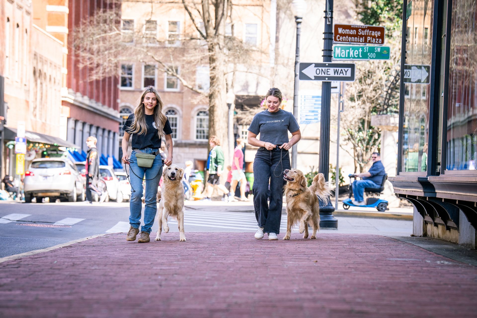 Two people walk golden retrievers on a paved city sidewalk near a street sign.