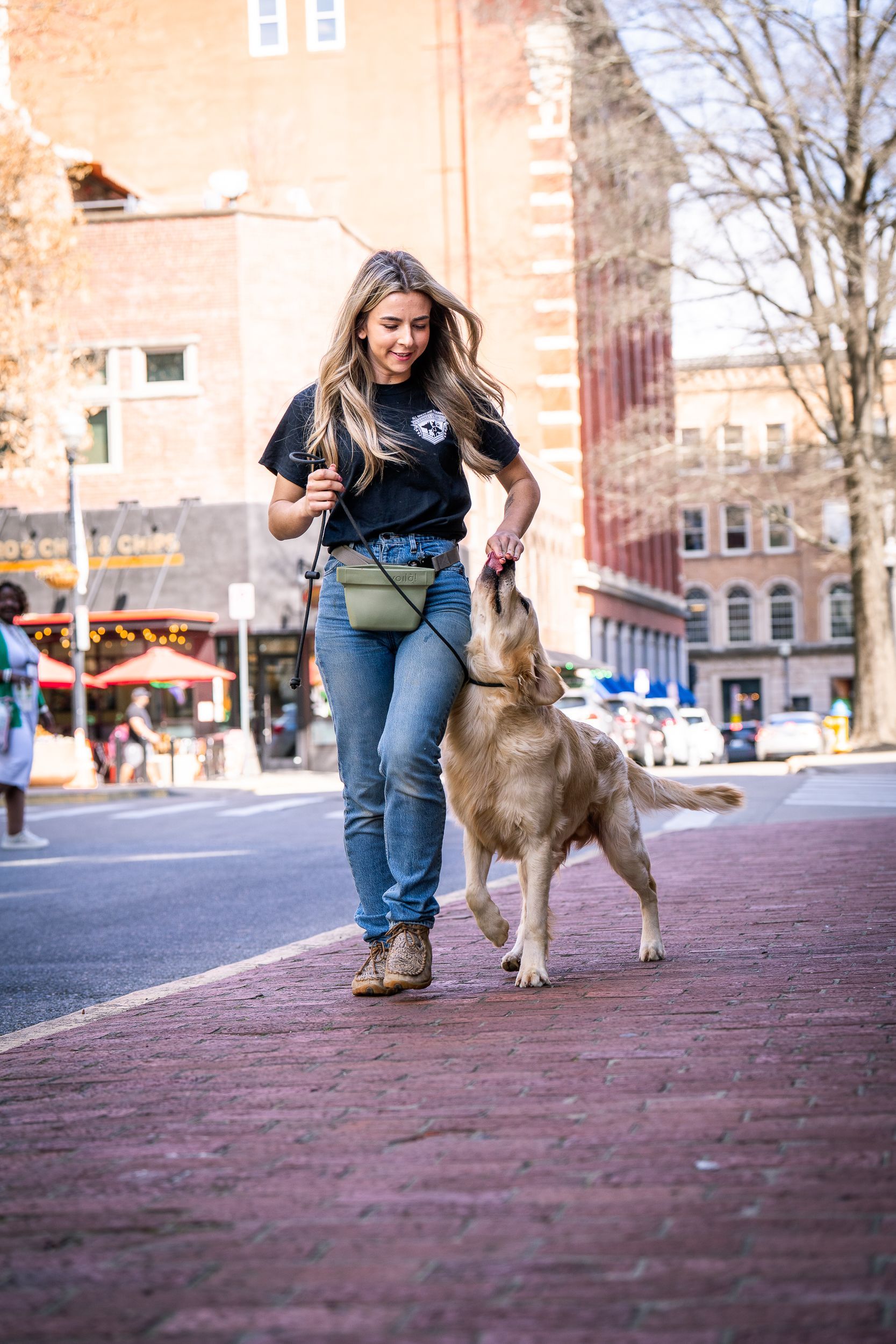 A person in a black t-shirt and jeans walks a golden dog along a red brick sidewalk in a city.
