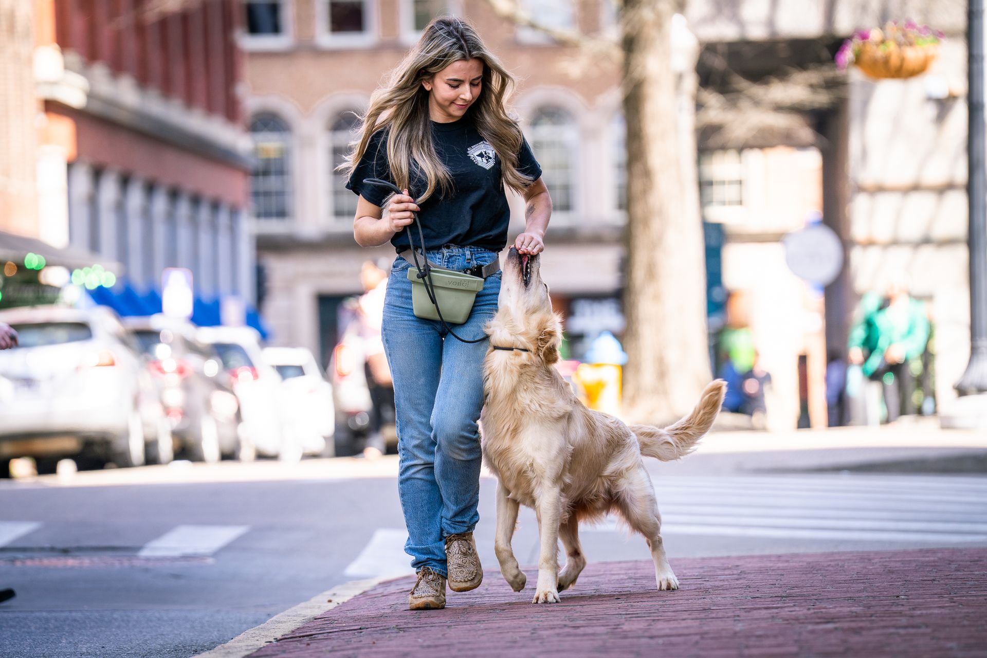 A person walks a golden retriever on a city street; the dog looks up at them expectantly while being led on a leash.