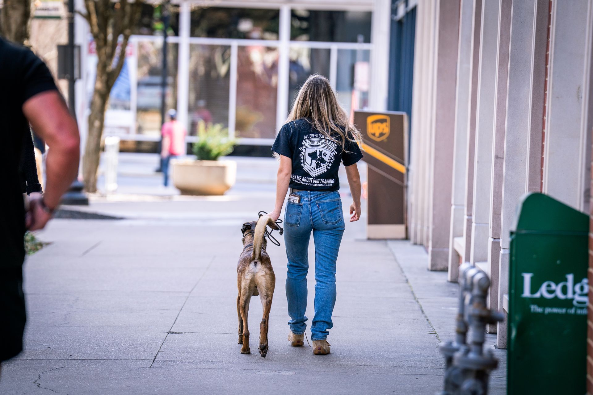 A person walking a dog on a leash along a city sidewalk, passing by a UPS drop box and a green waste bin.