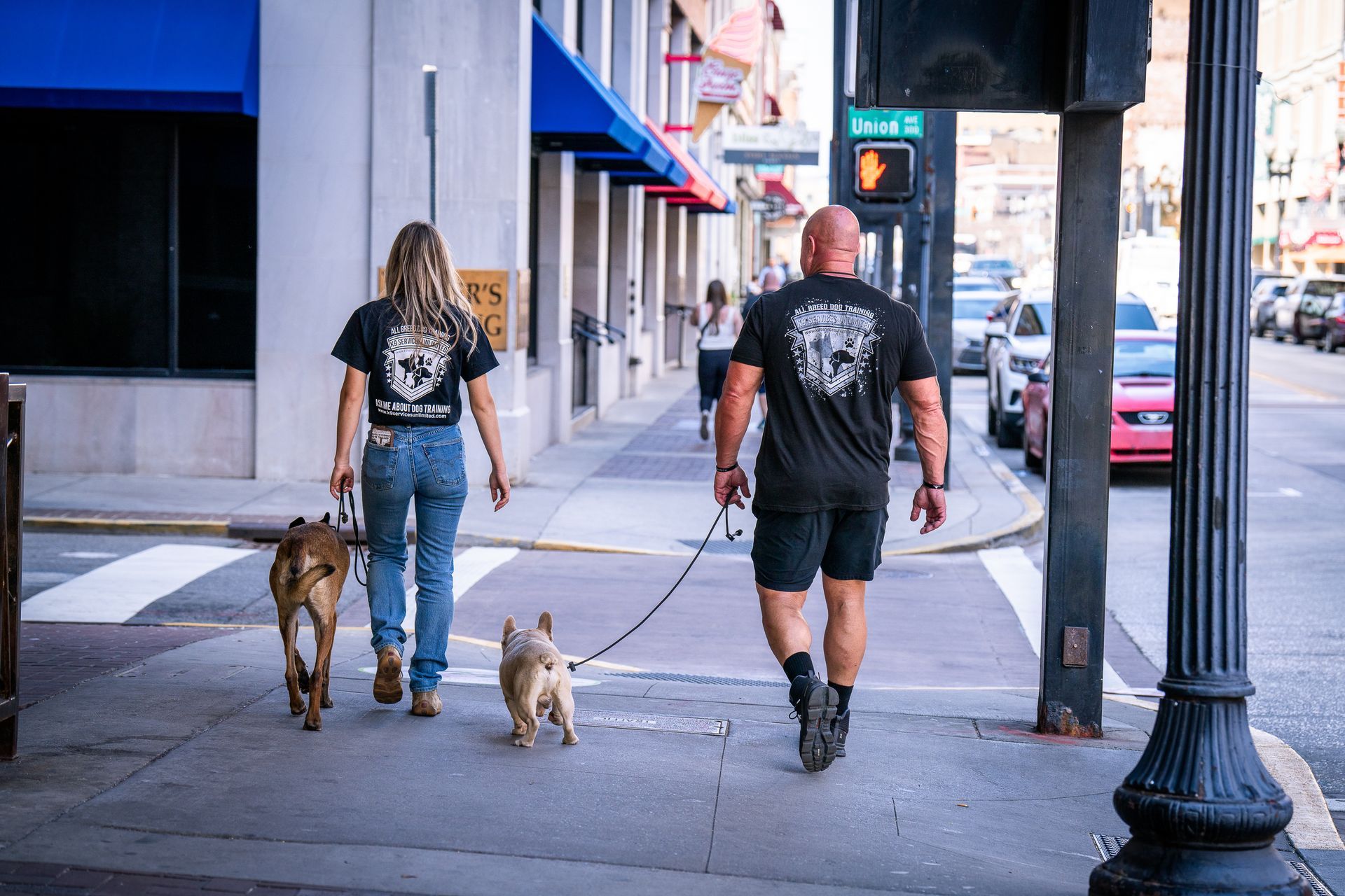 A person in a black shirt and jeans walks a dog next to a person in a black shirt and shorts walking a smaller dog.