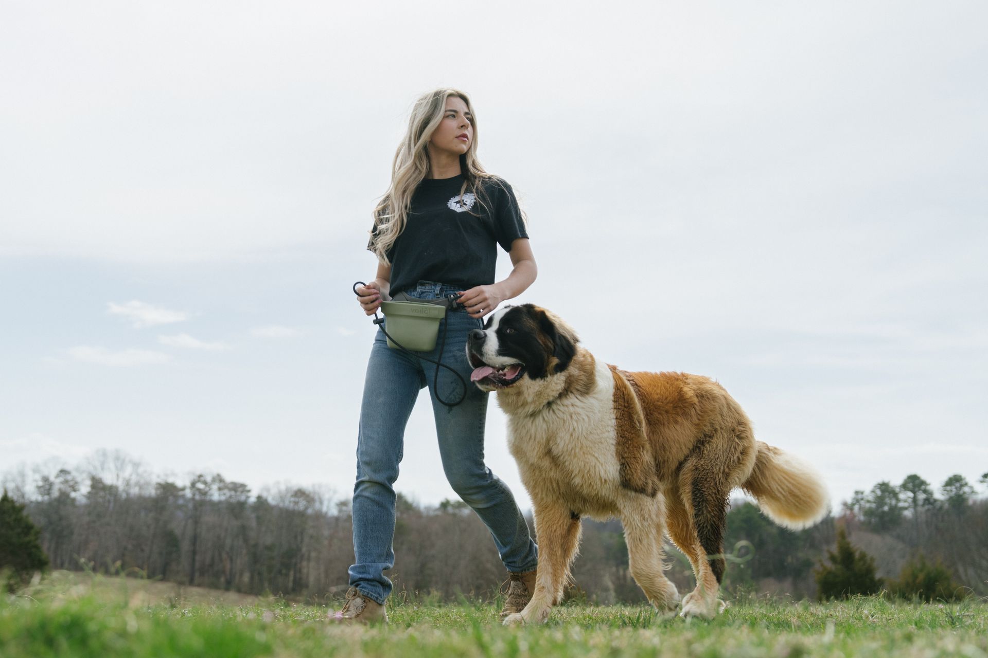 A person walking a large Saint Bernard dog across an open, grassy field under a cloudy sky.