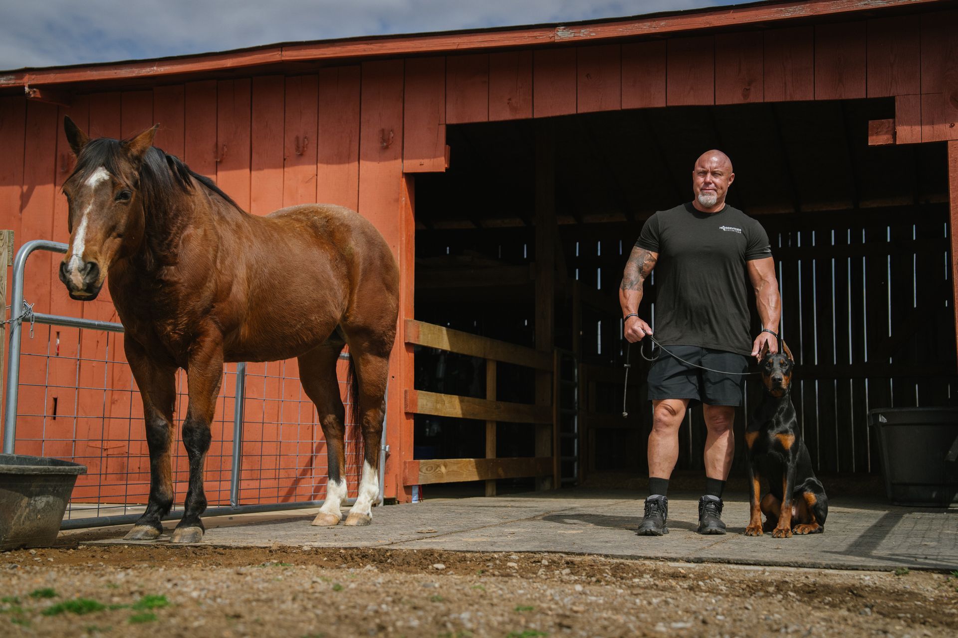 A muscular person stands with a dog in a barn next to a brown horse.