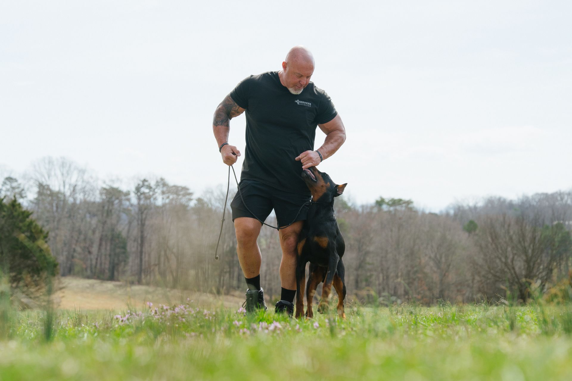 A person in a black shirt and shorts walks through a grassy field while interacting with a black-and-tan dog on a leash.