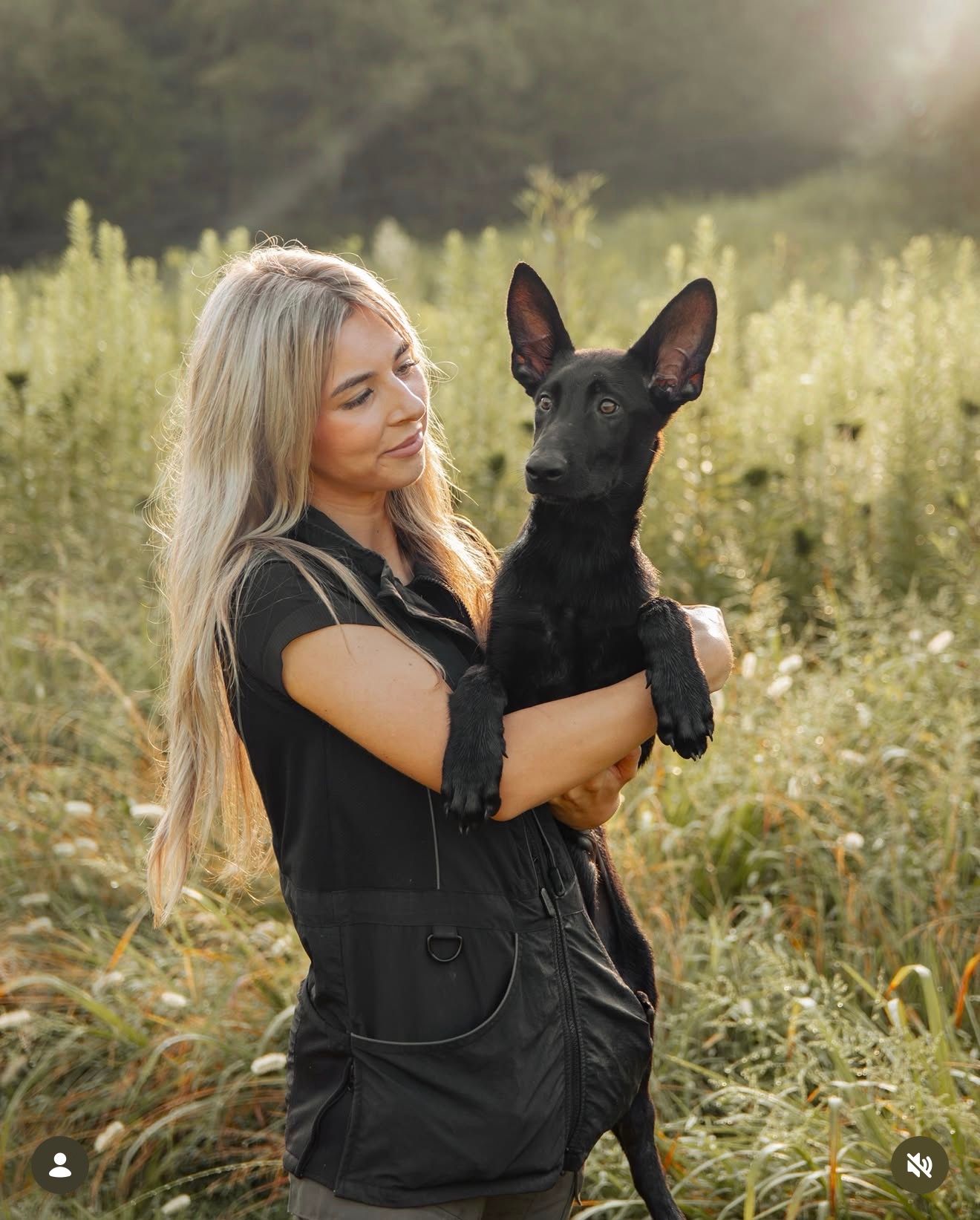 A person holding a young, alert black dog with pointed ears in a sunny, tall-grass field.