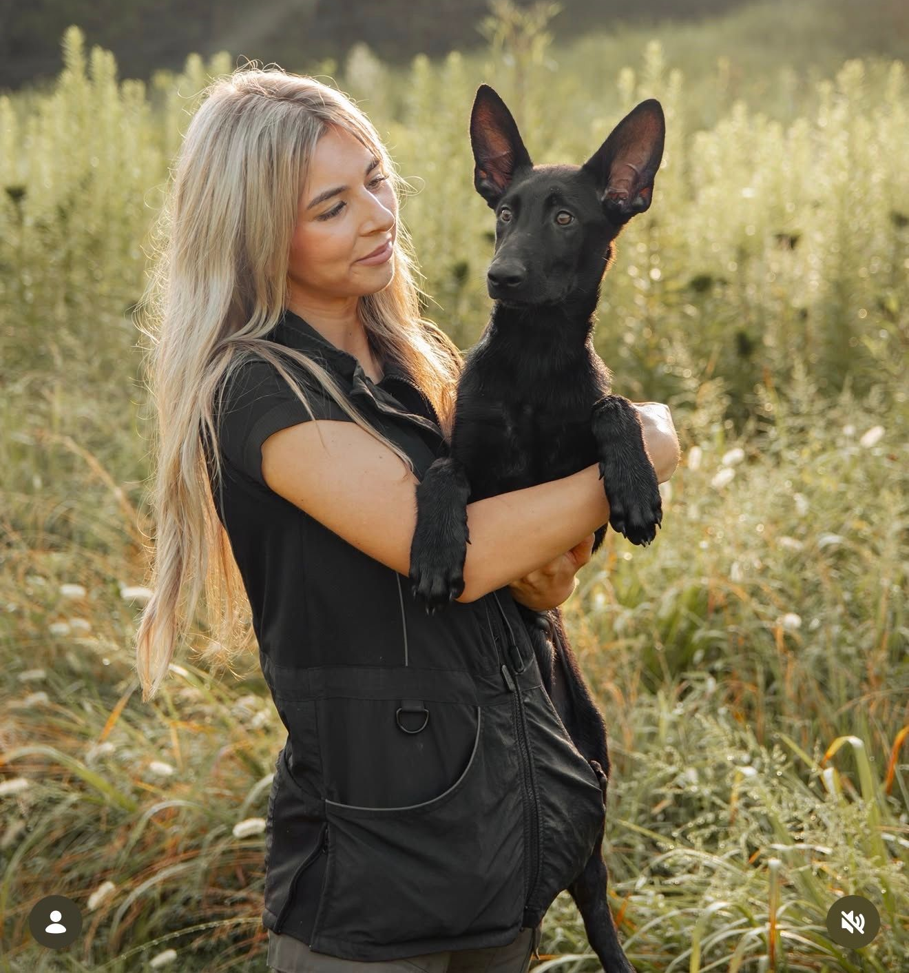 A person holds a small, black, pointed-ear puppy while standing in a grassy field at golden hour.