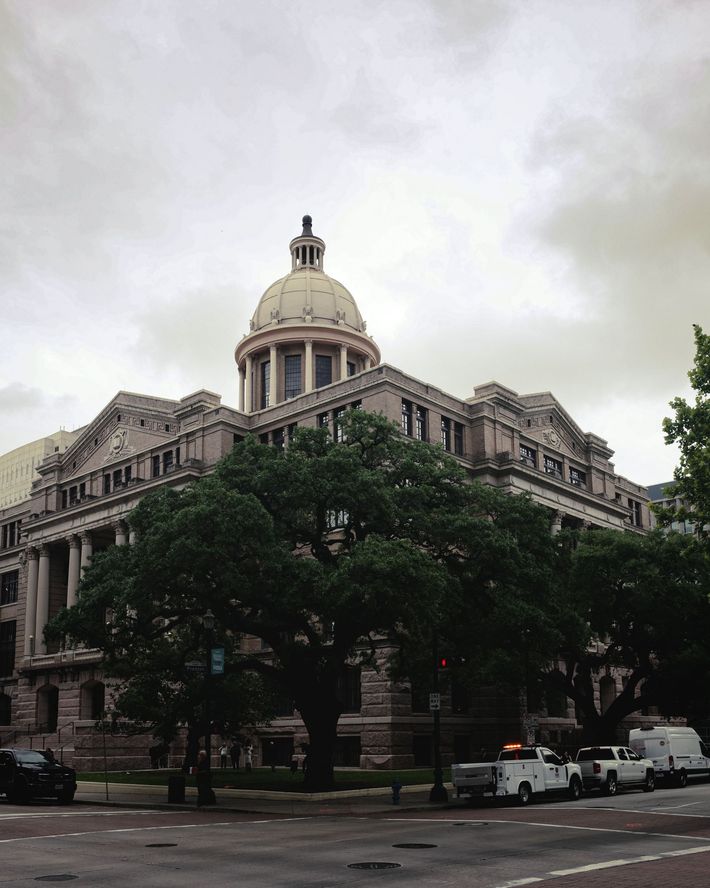 Historic domed government building behind trees on a cloudy day, with parked cars along the street.