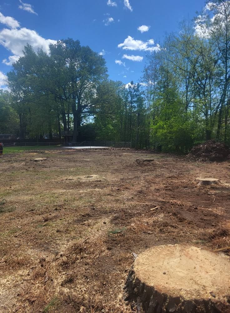 Cleared land with tree stumps; trees in background, blue sky with clouds.
