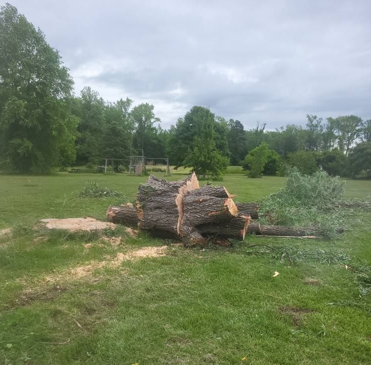 Cut tree trunk and branches on a grassy field under a cloudy sky.