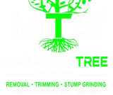 Logo for a tree service company with a green tree design; says "MANAGED TREE SERVICE". Lists removal, trimming, & stump grinding.